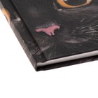 Дневник школьный для 1-11 класса, "Чёрный котик", твердая обложка, ламинация "софт-тач" вельвет, блок офсет 65г/м2, универсальная шпаргалка, 48 листов - фото 22546933