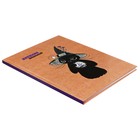 Дневник твердая обложка 1-11 класс 48 листов, "Искра", обложка картон 7БЦ, глянцевая ламинация, шпаргалка - фото 10856089