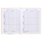 Дневник твердая обложка 1-11 класс 48 листов, "Искра", обложка картон 7БЦ, глянцевая ламинация, шпаргалка - фото 23757135