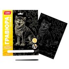 Гравюра 18 × 24 см, Собаки «Акита-ину» (золото) - фото 43742818