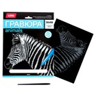 Гравюра большая «Зебра» - фото 22276022