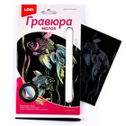 Гравюра малая «Экзотические рыбки» - фото 24518377