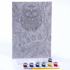 Картина по номерам для малышей «Сова» - фото 24305004