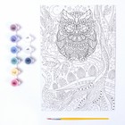 Картина по номерам для малышей «Сова» - фото 24305007