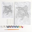 Картина по номерам для малышей «Черепашка» - фото 42890485