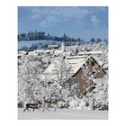 Картина по номерам на картоне 40 × 50 см «Деревня зимой» - фото 319523043
