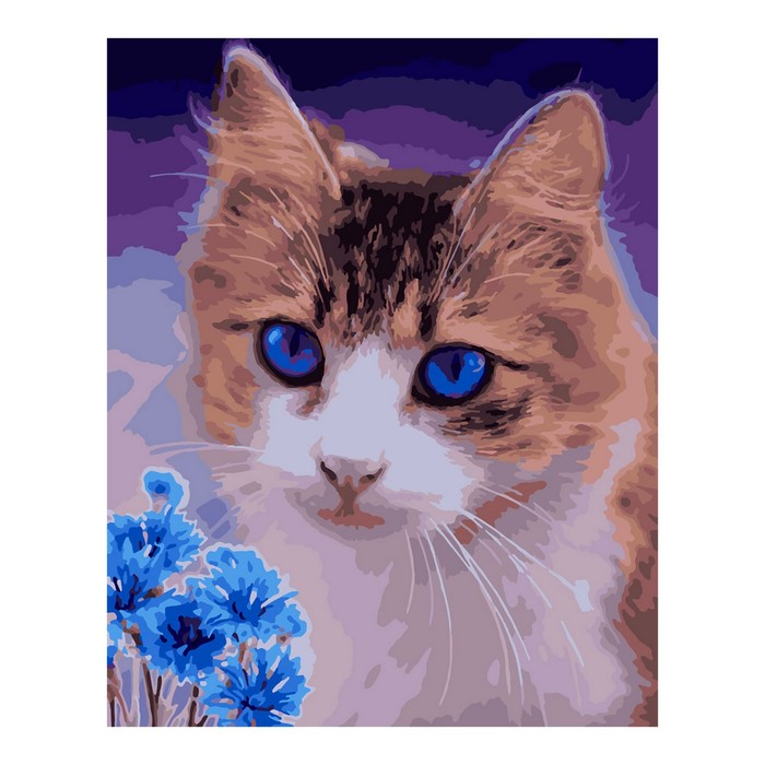 

Картина по номерам на картоне «Кот и васильки», 40 × 50 см