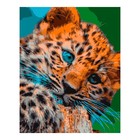 Картина по номерам на картоне 40 × 50 см «Леопардовый котёнок» - фото 319749257