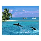 Картина по номерам на картоне 40 × 50 см «Морские красоты» - фото 319523072