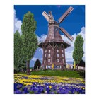 Картина по номерам холст на подрамнике 40 × 50 см «Ветряная мельница» - фото 319523156