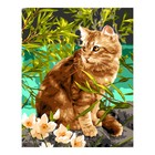Картина по номерам холст на подрамнике «Кошечка на прогулке» 40 × 50 см - фото 3583384
