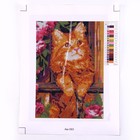Алмазная мозаика 21 × 30 см, (полное заполнение) «Рыжий котик» - Фото 2