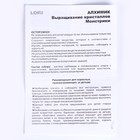 Выращивание кристаллов. Монстрики «Голубой» Алхимик - фото 24509422