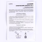 Химические опыты 2 в 1 «Полимерные червяки и Кристаллическая ёлочка» - фото 24518392