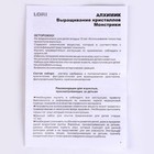 Выращивание кристаллов. Монстрики «Жёлтый» Алхимик - фото 28485818