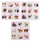 Настольная игра МЕМО «Домашние любимцы», 30 фишек + пазл 24 элемента - фото 25653893