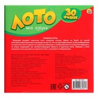 Настольная игра «Азбука», лото 30 фишек, пазл 24 элемента - фото 25681700