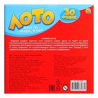 Настольная игра «Фрукты, овощи, ягоды», лото 30 фишек, пазл 24 элемента - фото 25653897