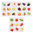 Настольная игра «Фрукты, овощи, ягоды», лото 30 фишек, пазл 24 элемента - фото 25653900