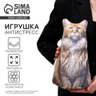 Антистресс игрушка, кот «Мейн-кун» - Фото 1