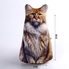 Антистресс игрушка, кот «Мейн-кун» - Фото 2