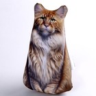 Антистресс игрушка, кот «Мейн-кун» - Фото 3