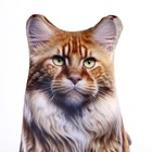 Антистресс игрушка, кот «Мейн-кун» - Фото 4