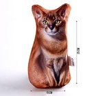 Антистресс игрушка, кот «Абисс» - Фото 2