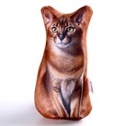 Антистресс игрушка, кот «Абисс» - Фото 3