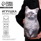 Антистресс игрушка, кот «Невская» - Фото 1