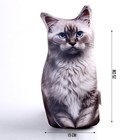 Антистресс игрушка, кот «Невская» - Фото 2