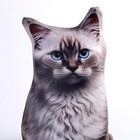 Антистресс игрушка, кот «Невская» - Фото 4