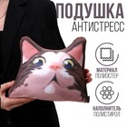Антистресс подушка «Удивлённый кот» - фото 319524730