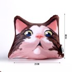 Антистресс подушка «Удивлённый кот» - фото 9286381