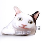 Антистресс подушка «Просто во» - фото 24479370