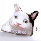 Антистресс подушка «Просто во» - фото 24479371