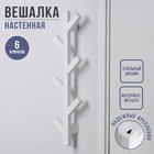 Вешалка настенная Березка, 6 крючков, 58×14×8 см, цвет белая 9542731 - фото 10556099