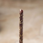 Свеча магическая восковая "Изгнание нечисти и негатива", с базиликом, 16х0,6 см, черный (комплект 2 шт) - фото 24589041