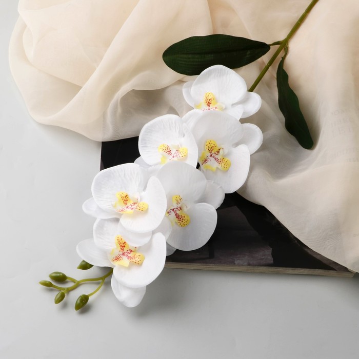 Цветы искусственные "Орхидея фаленопсис" премиум, 7х55 см, белый - Фото 1