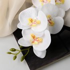 Цветы искусственные "Орхидея фаленопсис" премиум, 7х55 см, белый - Фото 2