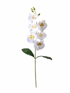 Цветы искусственные «Орхидея фаленопсис» премиум, 7×55 см, белые 9369528