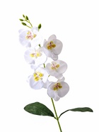 Цветы искусственные «Орхидея фаленопсис» премиум, 7×55 см, белые 9369528