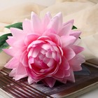 Цветы искусственные "Бегония" премиум, 14х60 см, розовый - Фото 2