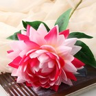 Цветы искусственные "Бегония" премиум, 14х60 см, розово-малиновый - Фото 2