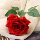 Цветы искусственные "Роза Гран При" 8х56 см, красный - Фото 2