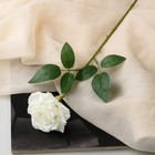 Цветы искусственные "Роза Гран При" 8х56 см, белый - фото 320445613