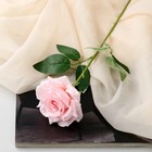 Цветы искусственные "Роза Гран При" 8х56 см, розовый - фото 319526160