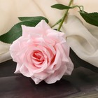 Цветы искусственные "Роза Гран При" 8х56 см, розовый - Фото 2