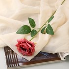 Цветы искусственные "Роза Гран При" 8х56 см, пепельно-розовый - фото 320445615