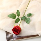 Цветы искусственные "Роза Шёлк" 7х56 см, красный - фото 319526162